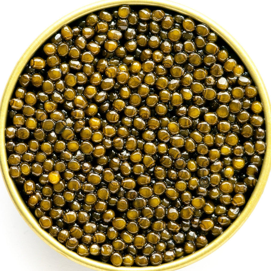 Special Edition Harwell Godfrey Imperial Golden Osetra Caviar